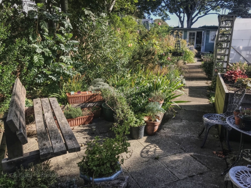 Seaford Community Garden